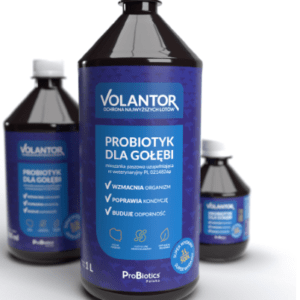Probiotyk dla gołębi VOLANTOR 1litr