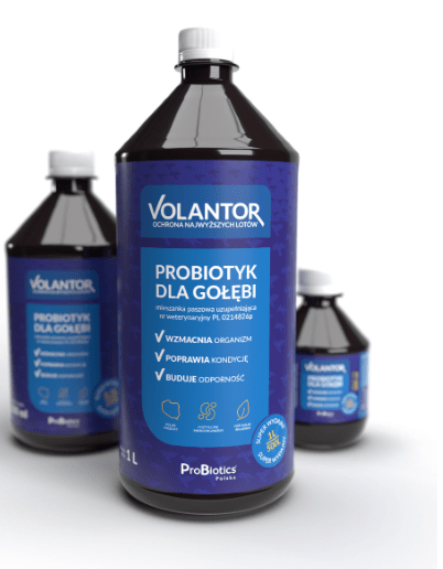 Probiotyk dla gołębi VOLANTOR 1litr