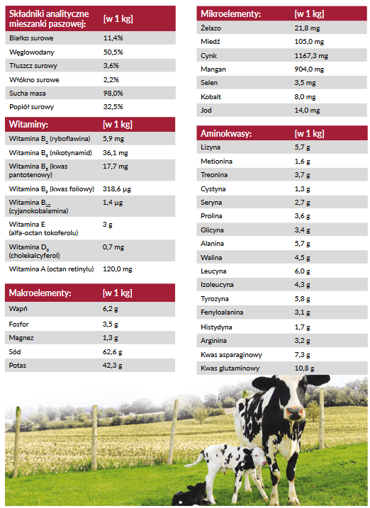 YarroBoost 800 gram - obrazek 2