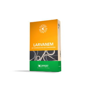 Larvanem
