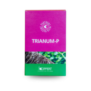 Trianum-P