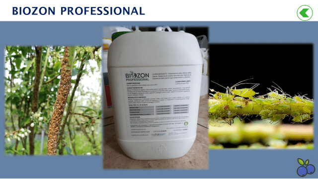 BIOZON Professional 20 litrów