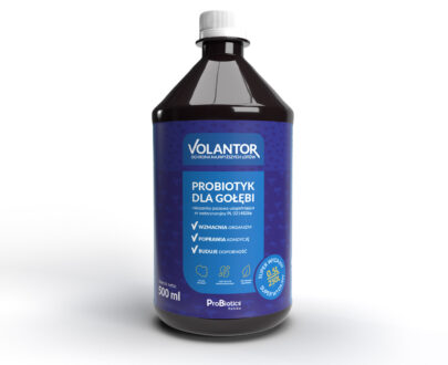 Probiotyk dla gołębi VOLANTOR 500 ml