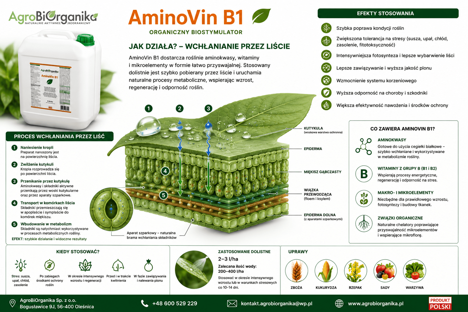 AminoVin B1 5L - obrazek 5